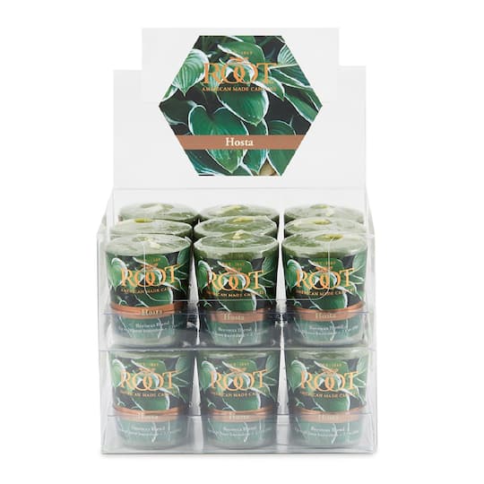 Root Candles Scented 20 Hour Beeswax Blend Votive Candles, 18ct. in Hosta | Michaels®